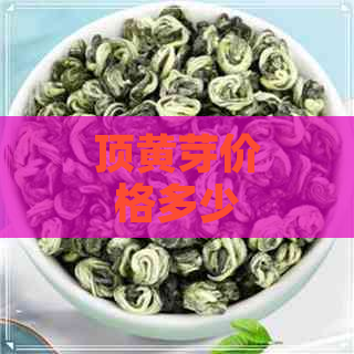 顶黄芽价格多少