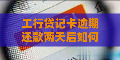 工行贷记卡逾期还款两天后如何处理？了解解决方法及后果