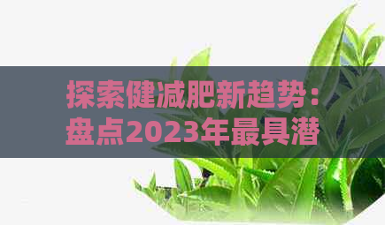 探索健减肥新趋势：盘点2023年更具潜力的减肥茶