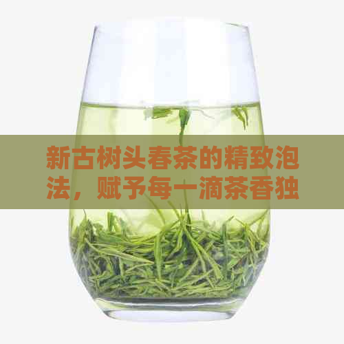 新古树头春茶的精致泡法，赋予每一滴茶香独特的灵魂