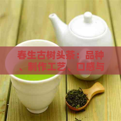 春生古树头茶：品种、制作工艺、口感与功效解析，带你领略茶中王者的魅力