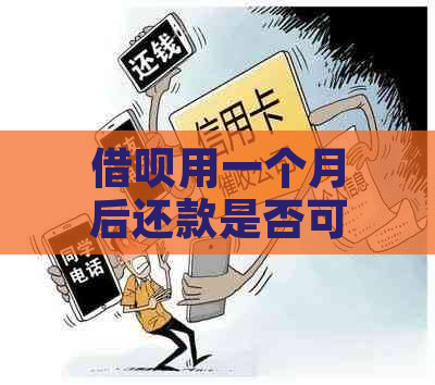 借呗用一个月后还款是否可行，如何操作，安全性如何保障？