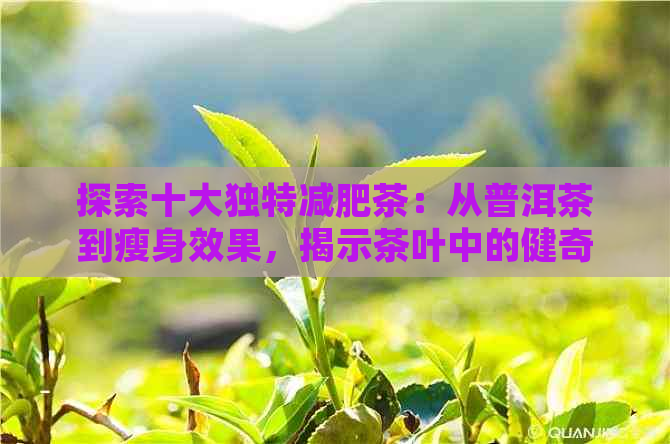 探索十大独特减肥茶：从普洱茶到瘦身效果，揭示茶叶中的健奇迹