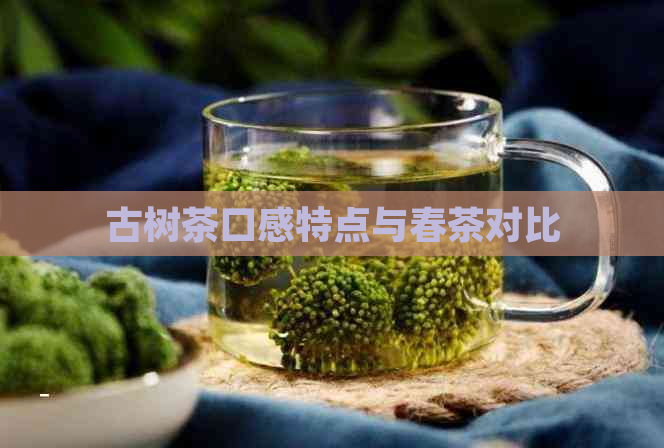 古树茶口感特点与春茶对比