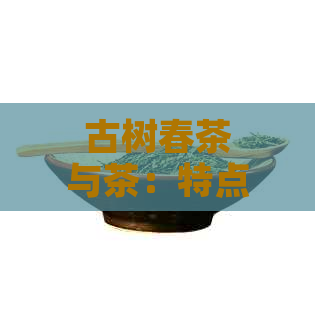 古树春茶与茶：特点、口感和风味之比较，为您挑选茶叶提供指南