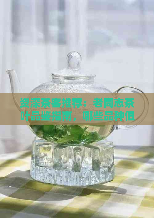 资深茶客推荐：老同志茶叶品鉴指南，哪些品种值得一试？