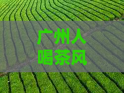 广州人喝茶风俗：用什么茶具？怎么说？