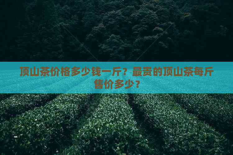 顶山茶价格多少钱一斤？最贵的顶山茶每斤售价多少？