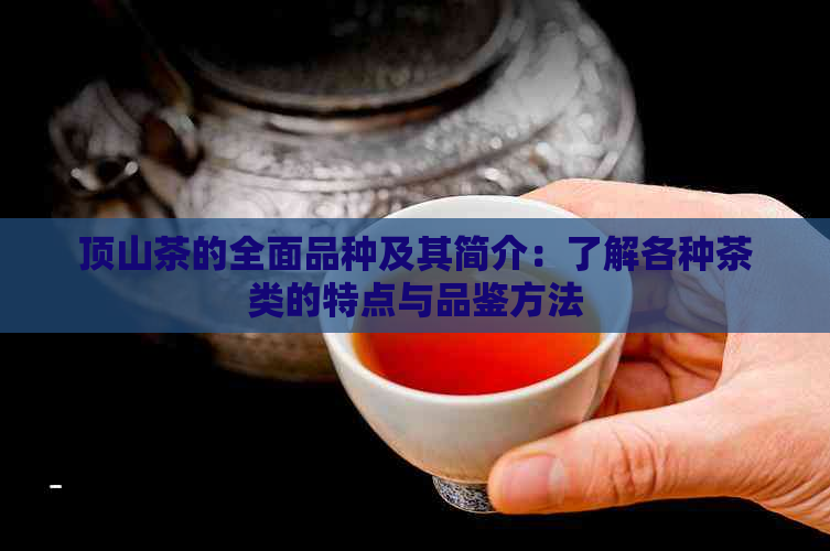 顶山茶的全面品种及其简介：了解各种茶类的特点与品鉴方法