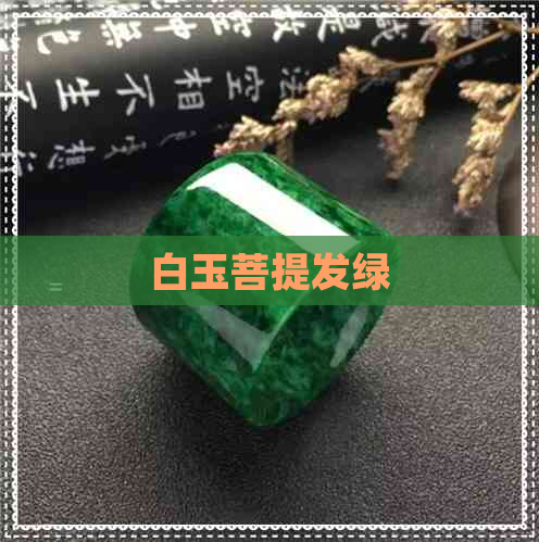 白玉菩提发绿