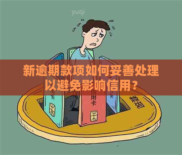 新逾期款项如何妥善处理以避免影响信用？