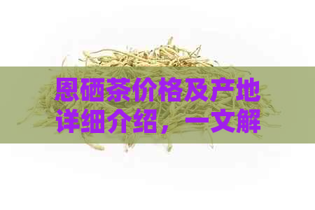 恩硒茶价格及产地详细介绍，一文解答用户关于恩硒茶的所有疑问