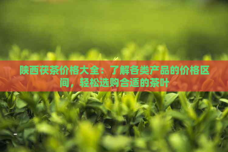 陕西茯茶价格大全：了解各类产品的价格区间，轻松选购合适的茶叶