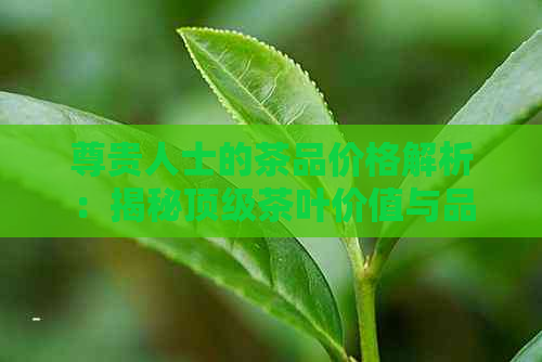 尊贵人士的茶品价格解析：揭秘顶级茶叶价值与品质