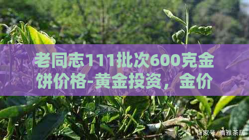 老同志111批次600克金饼价格-黄金投资，金价走势，金融市场，金币收藏