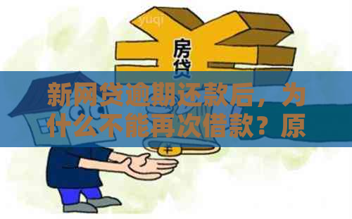 新网贷逾期还款后，为什么不能再次借款？原因揭秘！