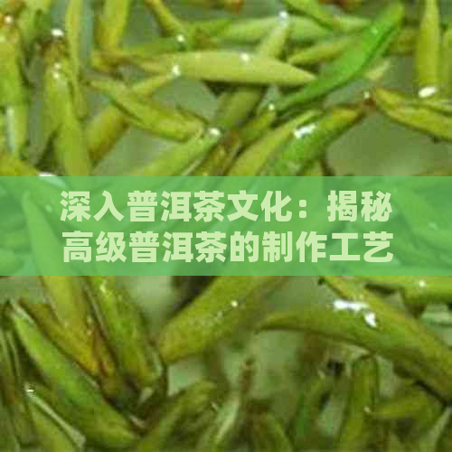 深入普洱茶文化：揭秘高级普洱茶的制作工艺与茶砖形成过程