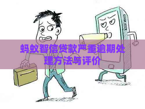 蚂蚁智信贷款严重逾期处理方法与评价