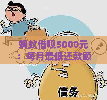 蚂蚁借呗5000元：每月更低还款额及利息计算方法