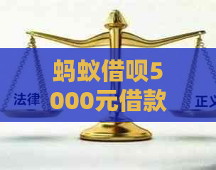 蚂蚁借呗5000元借款：按月计算的更低还款额及利息解析