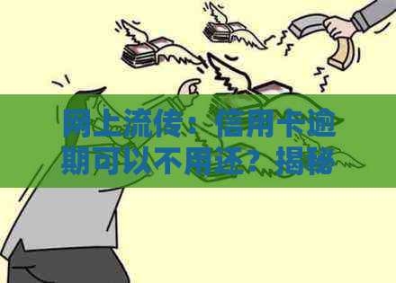 网上流传：信用卡逾期可以不用还？揭秘真实的还款政策！