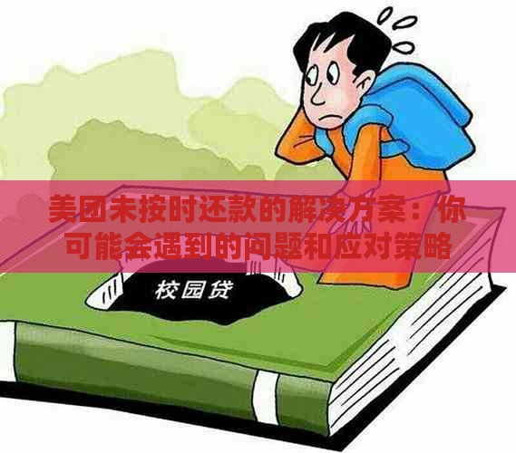 美团未按时还款的解决方案：你可能会遇到的问题和应对策略