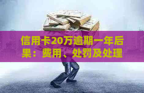 信用卡20万逾期一年后果：费用、处罚及处理方式详解