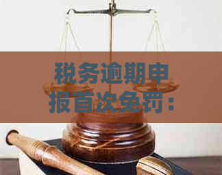 税务逾期申报首次免罚：详细解答与适用条件，如何避免罚款风险