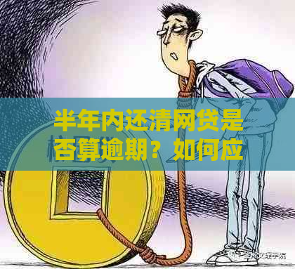 半年内还清网贷是否算逾期？如何应对？