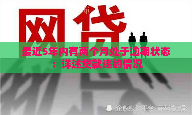 最近5年内有两个月处于逾期状态：详述贷款违约情况