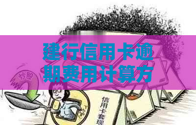 建行信用卡逾期费用计算方法：详尽指南与解读