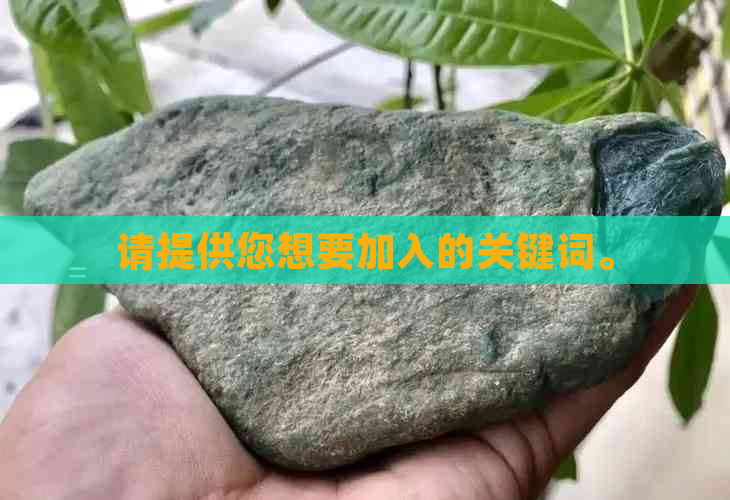 请提供您想要加入的关键词。