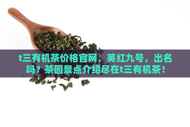 t三有机茶价格官网，英红九号，出名吗？茶园景点介绍尽在t三有机茶！