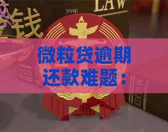 微粒贷逾期还款难题：分期付款功能为何受限？