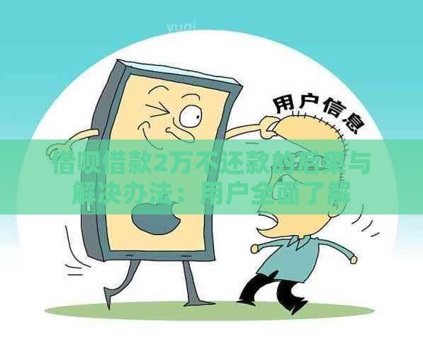 借呗借款2万不还款的后果与解决办法：用户全面了解