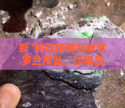 新 '纯正糯种翡翠紫罗兰吊坠，珍稀品质保证，优惠价格限时抢购'