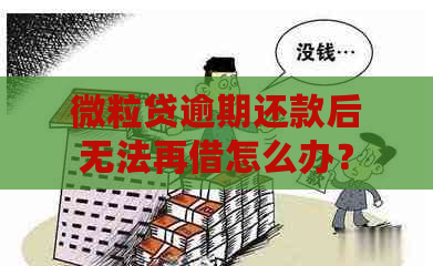 微粒贷逾期还款后无法再借怎么办？