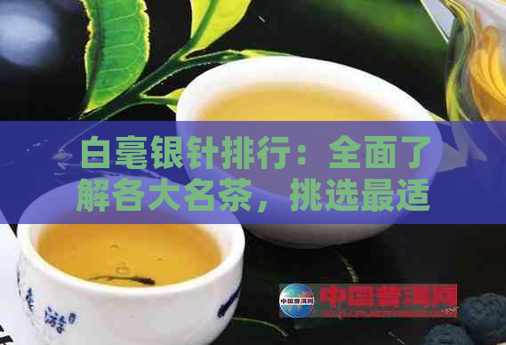 白毫银针排行：全面了解各大名茶，挑选最适合您的优质茶叶