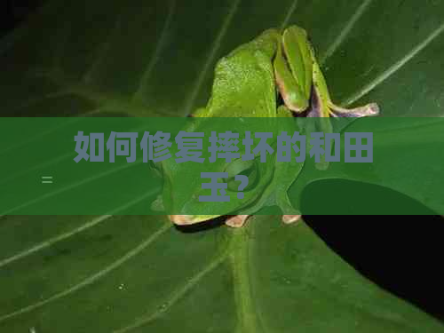 如何修复摔坏的和田玉？