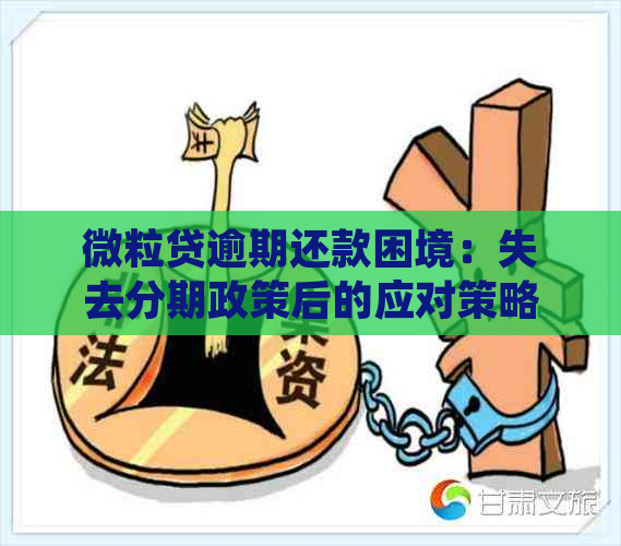 微粒贷逾期还款困境：失去分期政策后的应对策略