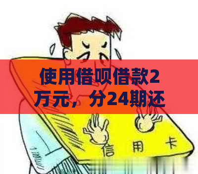 使用借呗借款2万元，分24期还款需要支付的总额是多少？请详细解答。