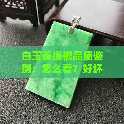 白玉菩提根品质鉴别：怎么看？好坏真假分辨