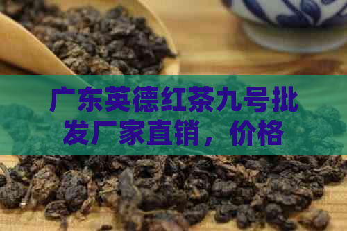 广东英德红茶九号批发厂家直销，价格优，品质保证，等您来选购！