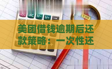 美团借钱逾期后还款策略：一次性还清还是只还本期款项？如何避免逾期罚款？