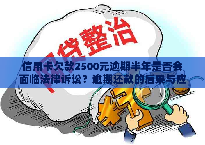 信用卡欠款2500元逾期半年是否会面临法律诉讼？逾期还款的后果与应对方法