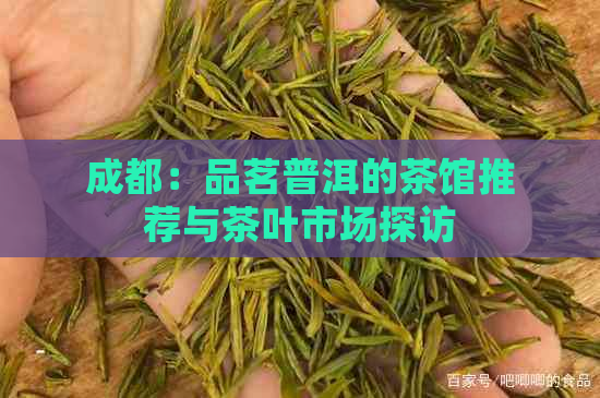 成都：品茗普洱的茶馆推荐与茶叶市场探访