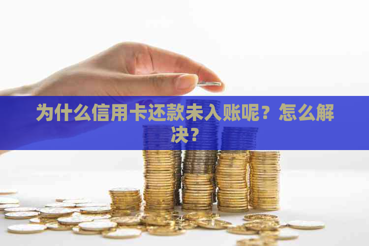 为什么信用卡还款未入账呢？怎么解决？