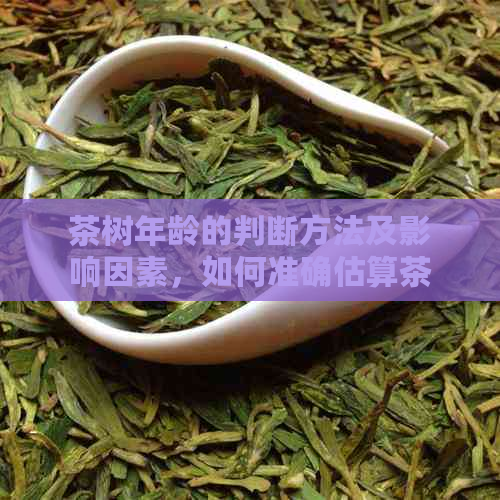 茶树年龄的判断方法及影响因素，如何准确估算茶树的生长年限？