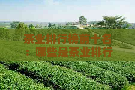 茶业排行榜前十名：哪些是茶业排行榜前十名？