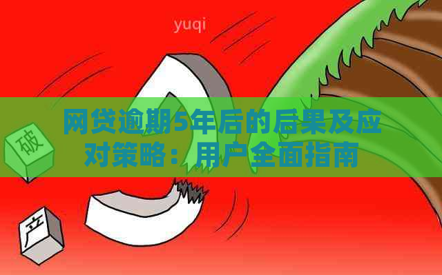 网贷逾期5年后的后果及应对策略：用户全面指南